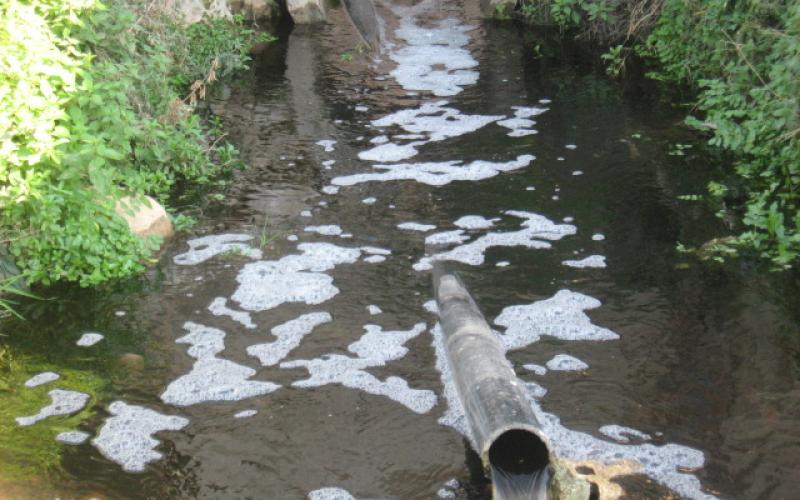 محافظ عجلون يمهل معصرة ومزرعة أبقار بالقرب من نبع عين التنور 48 ساعة لإزالة الملوثات 