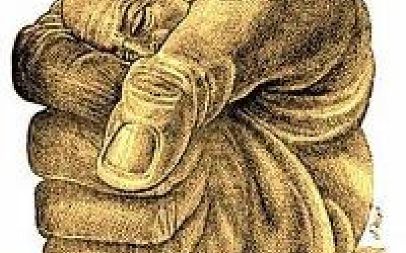 حفاة الأحلام