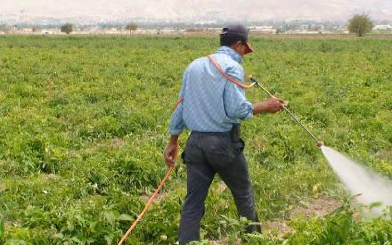 اتحاد المزارعين يخاطب رئيس الوزراء لمنع افلاسه 