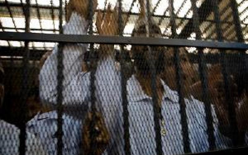 العثور على اردني فقد في العراق قبل 10 اعوام