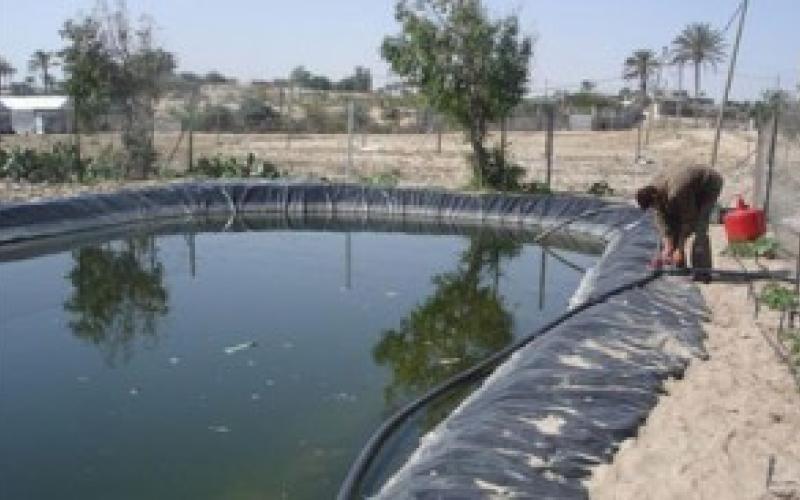 الاشغال الشاقة لقاتل عجوز سبعينية و15 عام لقاتل طالب جامعي