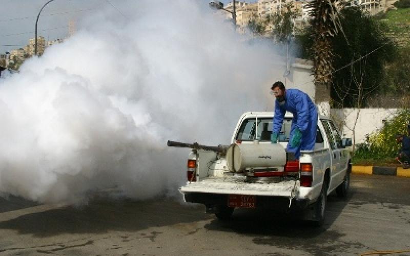 الأمانة تكافح الحشرات والقوارض