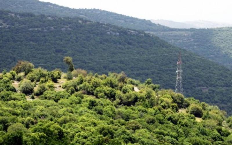 برقش: معارضو الكلية يعتصمون أمام الزراعة والمؤيدون في الغابات