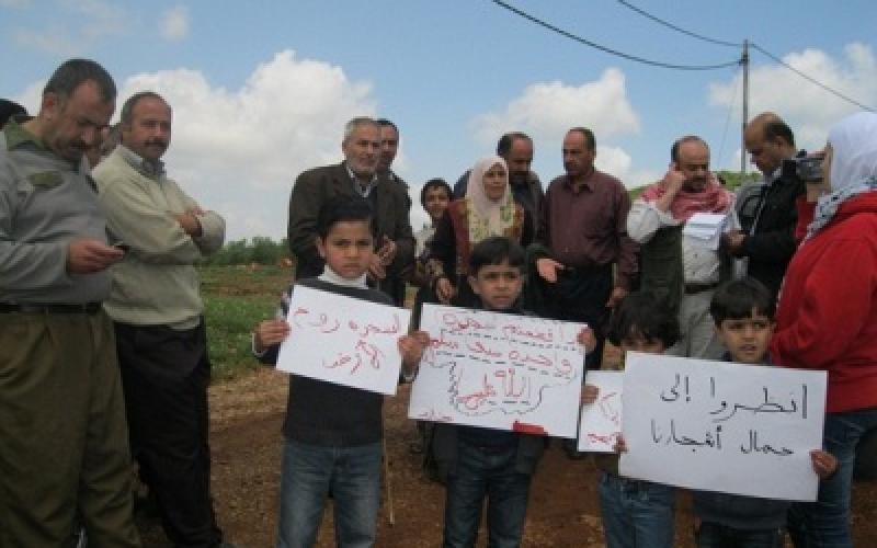 300 شجرة معمرة تواجه حكم "الإعدام"