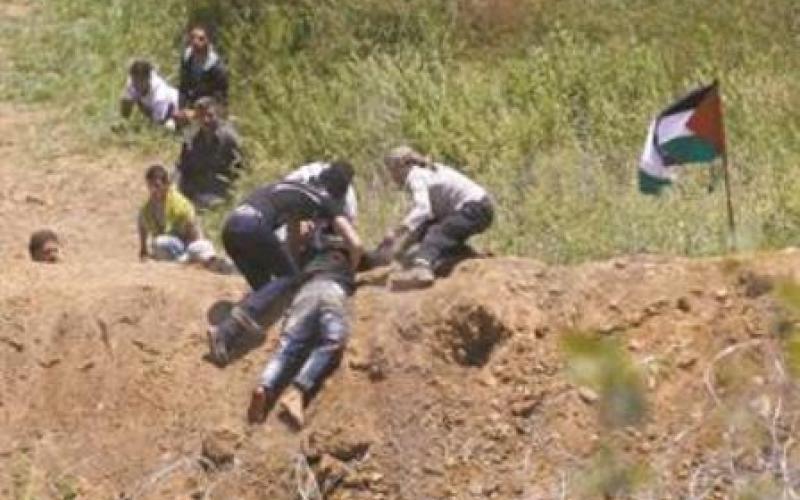 إدانة أردنية للاعتداء الإسرائيلي على متظاهري الجولان في ذكرى النكسة