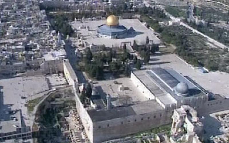 العرب والقدس ووفودها !