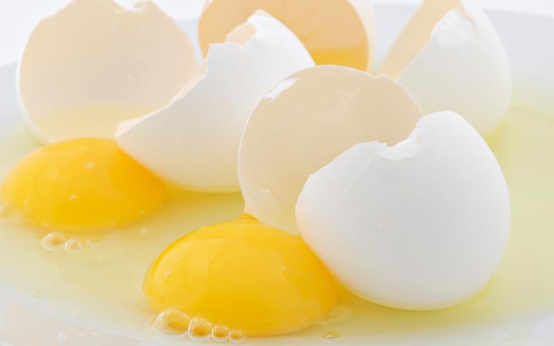 فعاليات ترشق مجلس النواب "بالبيض الفاسد" يوم الخميس