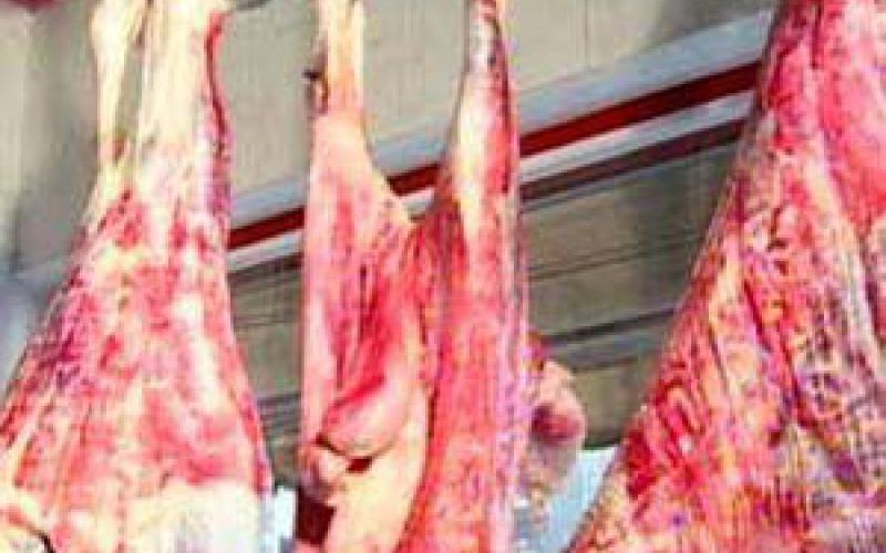 حماية المستهلك تدعو للمقاطعة لمواجهة ارتفاع الأسعار