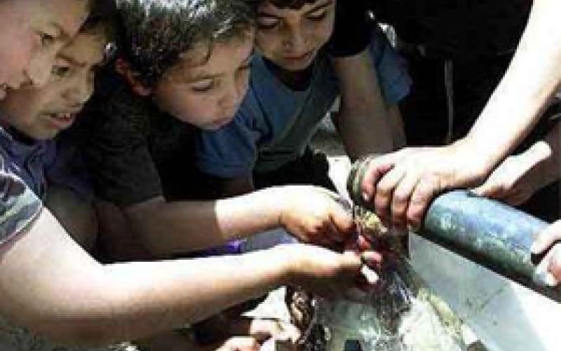 الأغوار.. صيف لاهب دون ماء و كهرباء 