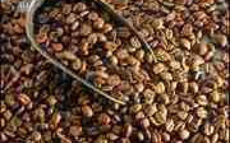 تجار المواد الغذائية تدعو حماية المستهلك لوقف التضليل