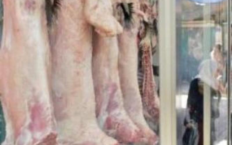 السير بإجراءات استيراد الماشية الأثيوبية والإلزام بالذبح في المسالخ المعتمدة