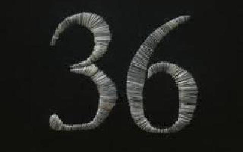 تيار "36": أبناء المخيمات جزء من الأمة ولا يجوز المتاجرة بحقوقهم