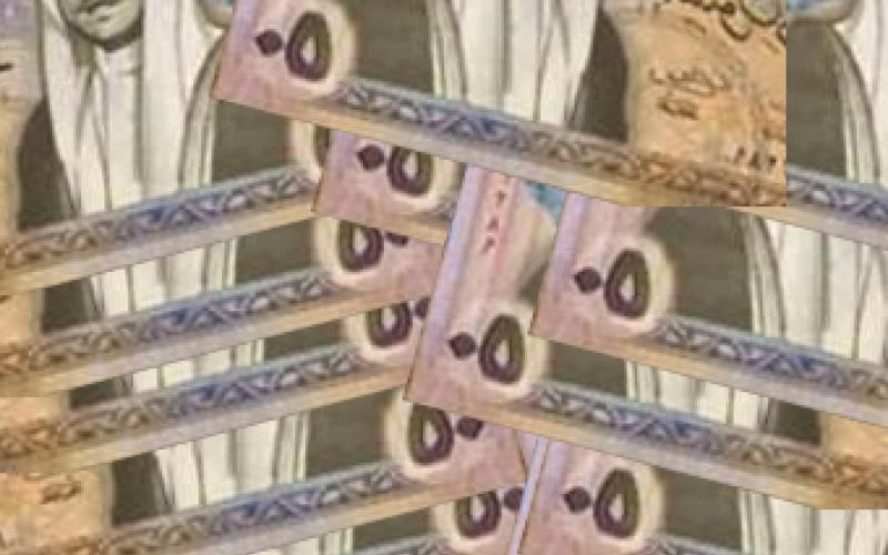 شخص يوهم المواطنين بصرف 100 دينار عيدية