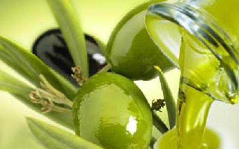 الإحصاءات: ارتفاع إنتاج زيت الزيتون 28%