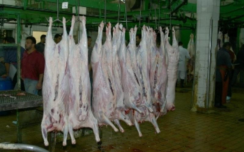 الأمانة تعاين 6 ملايين كغم من اللحوم خلال رمضان والعيد 