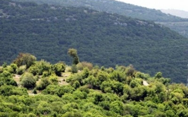 " أحرار برقش" يطالب برفع كافة القيود الأمنية عن الحياة السياسة