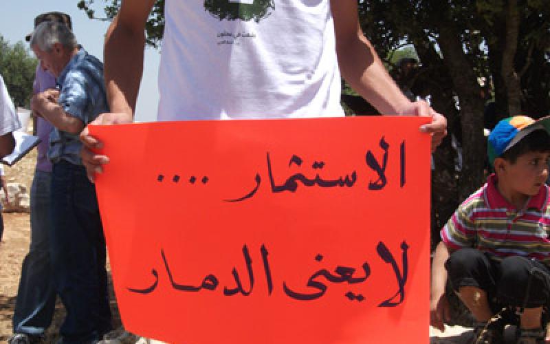 قرار بعدم قطع أي شجرة في برقش والمطلوب قرار بإلغاء التفويض