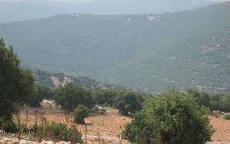 الحباشنة وبرقش 