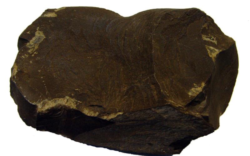 خبير: احتياطي الصخر الزيتي يكفي احتياجات الأردن من الطاقة لـ 900 سنة