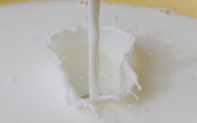 الزراعة النيابية تطالب بتشديد الرقابة على معامل الألبان غير المرخصة