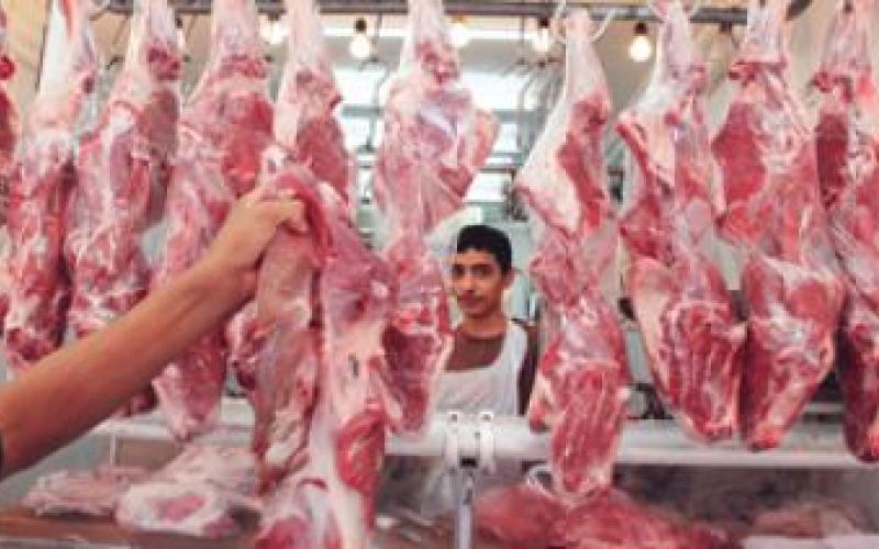 توقعات بارتفاع اسعار اللحم البلدي ومطالبة بوقف تصدير المواشي 