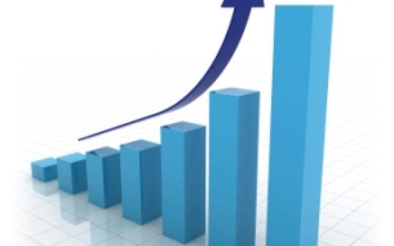 الإحصاءات : 4.8% معدل التضخم