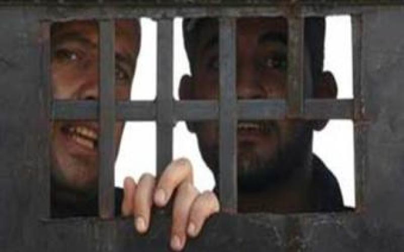 تضامنا مع إضراب الأسرى.. اعتصام يومي أمام الكالوتي 