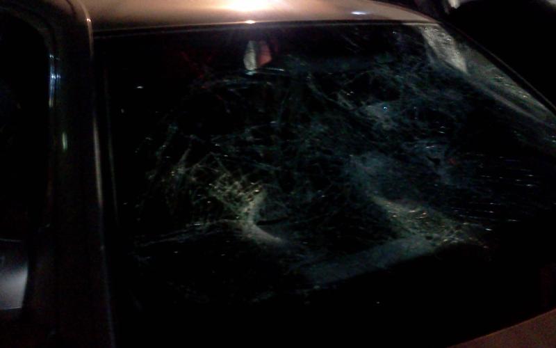 الحركة الإسلامية تحمل الأمن مسؤولية الاعتداء الهمجي على مهرجان سلحوب