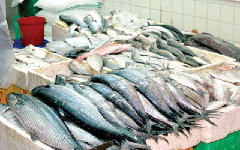 بروشورات توعوية حول التعامل مع اللحوم والاسماك والماكولات البحرية