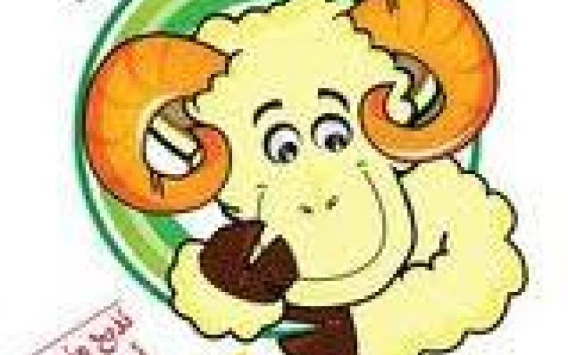 كوارع في الشوارع