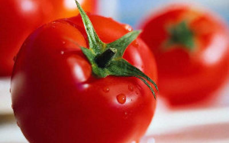 الإحصاءات: انخفاض أسعار المنتجين الزراعيين