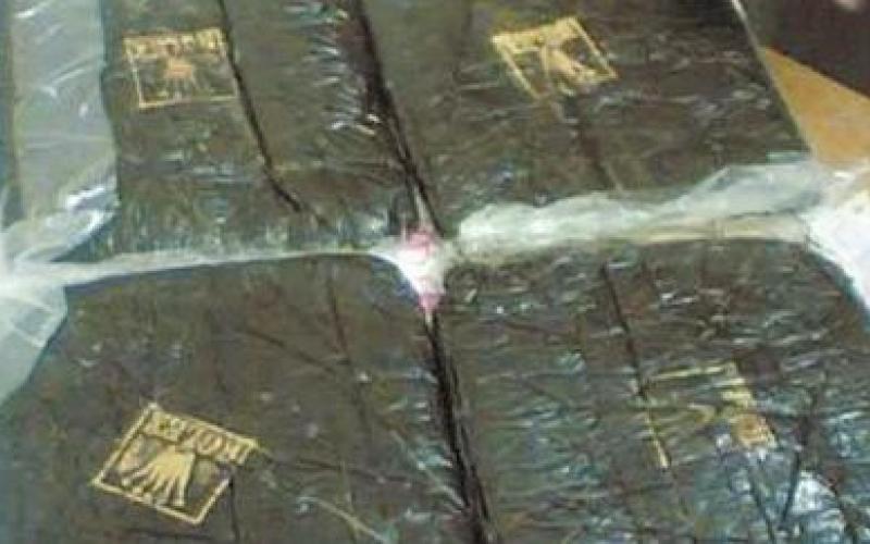 البادية الشمالية: ضبط 700 تربة حشيش