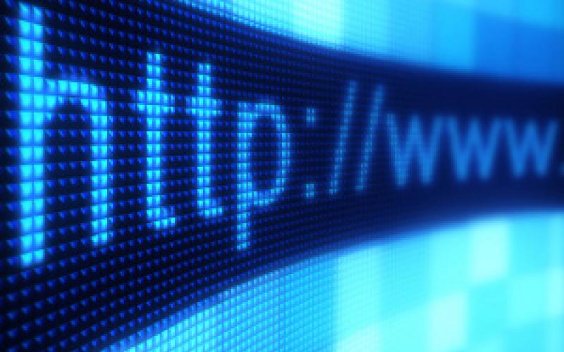 الإحصاءات: 99% من منشآت القطاع العام يتوافر لديها خدمة الإنترنت