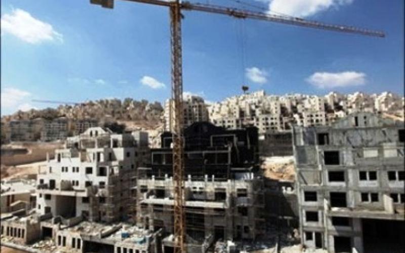 نمو في مساحة الأبنية المرخصة.. وعمان في الصدارة