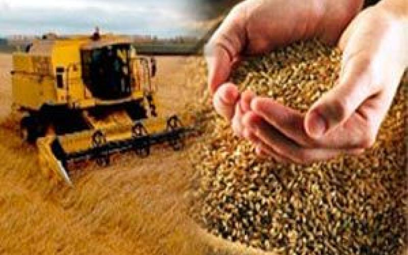 الزراعة تدرس استئجار اراضي في اكرانيا 