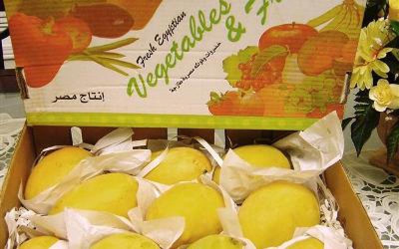 فتح باب استيراد المانجا من مصر