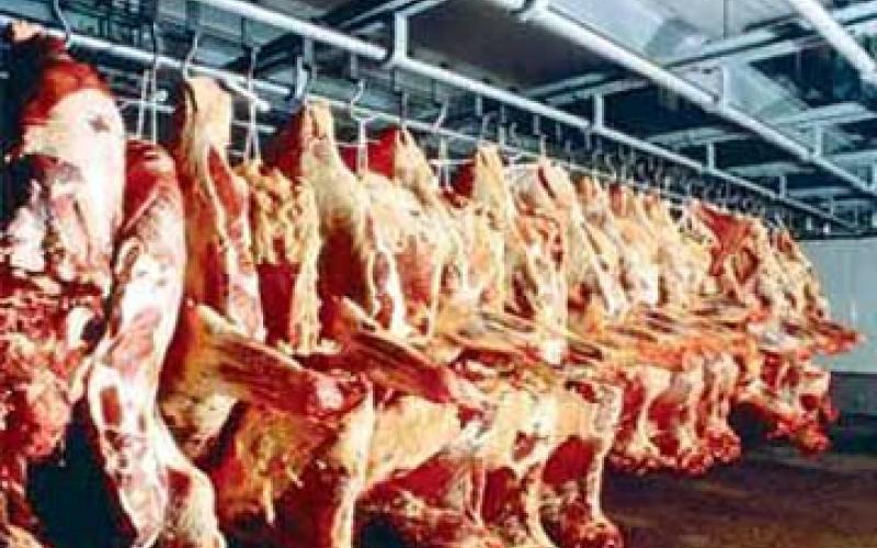 نقابة التجار: اجراءات تعسفية تهدد بنقص اللحوم في الزرقاء