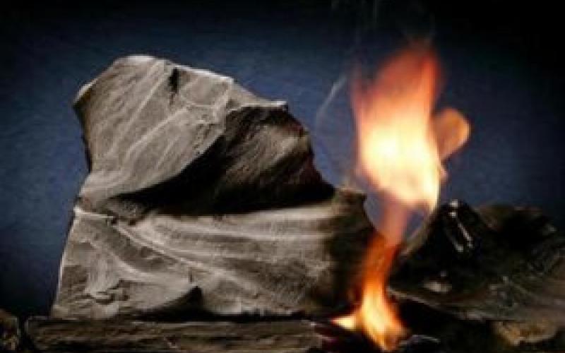 النووي مغامرة في ظل بدائل الطاقة