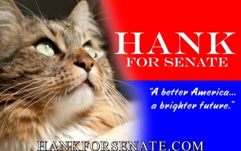 الأخ العزيز "هانك"