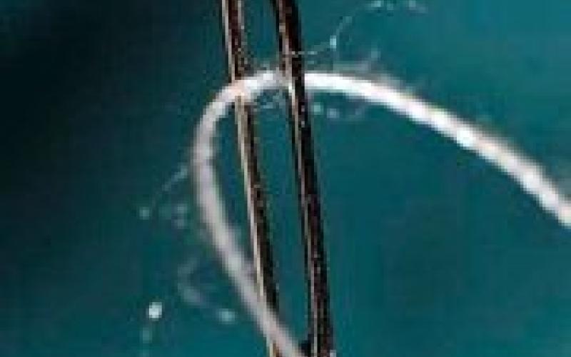 أنا وكوكي وخرم الابرة