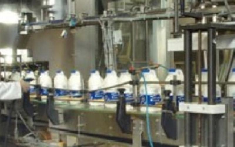 مصانع ألبان ترفع أسعارها دون العودة إلى الصناعة والتجارة