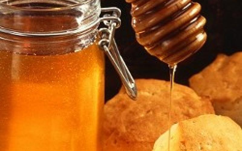 الإحصاءات: انخفاض كميات إنتاج العسل