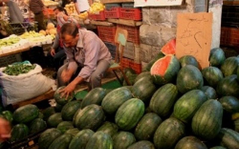 أصحاب معرشات البطيخ يعتصمون