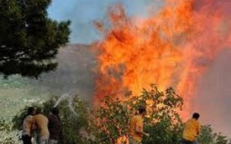 مزارعو وادي الأردن يقاضون الحكومة وإسرائيل