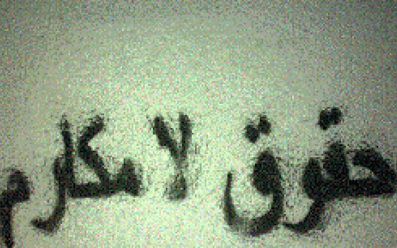 زوبعة المكارم الملكية في تصريحات مفوض حقوق الإنسان