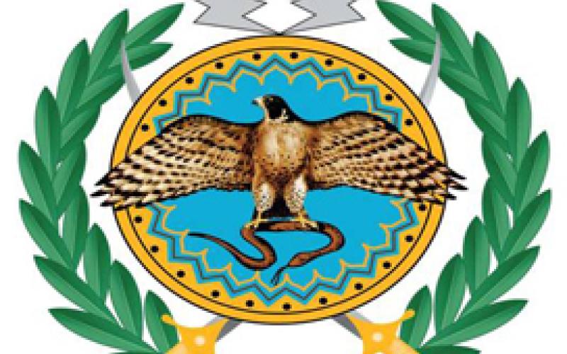 المخابرات تفرج عن طبيب اتهم بالتعامل مع السوريين