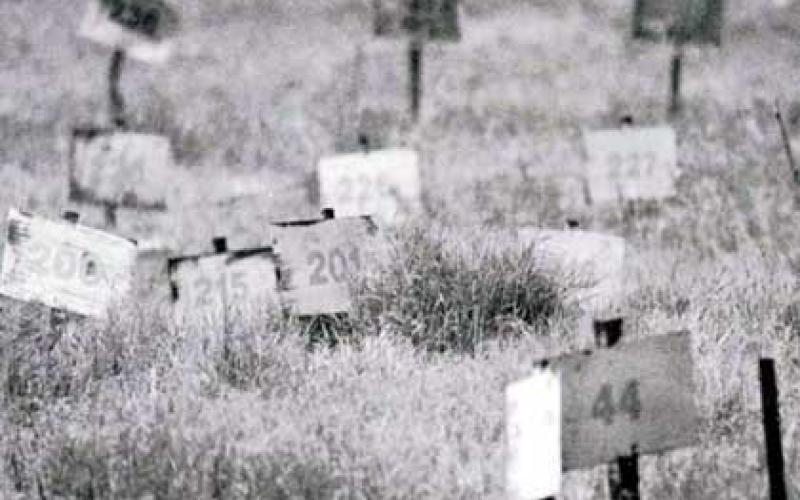 تضارب حول رفات احد شهداء الجيش العربي في حرب 76