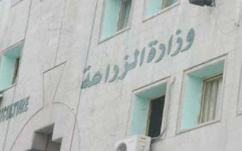 فنيو مختبرات الثروة الحيوانية يتوقفون عن العمل 