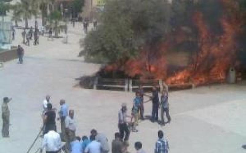 ذبحتونا: ما يجري في مؤتة مجزرة بحق التعليم العالي