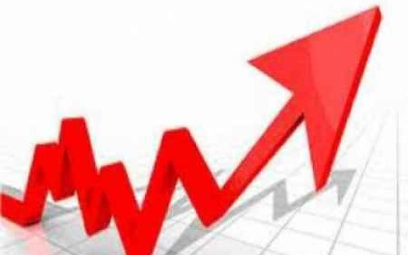 الإحصاءات: ارتفاع أسعار تجارة الجملة 